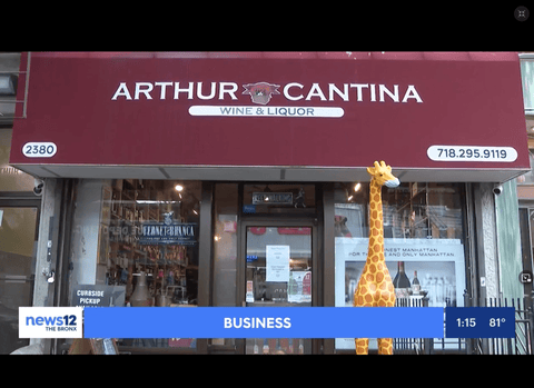 Best of the Bronx: Little Italy - Arthur Cantina Wine & Liquor