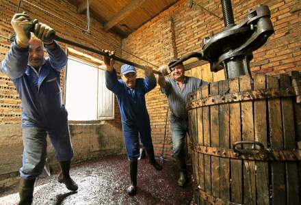 Do You Know Who Invented Wine? - Arthur Cantina Wine & Liquor
