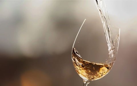 What Type of Wine Pairs Well With Fish? - Arthur Cantina Wine & Liquor