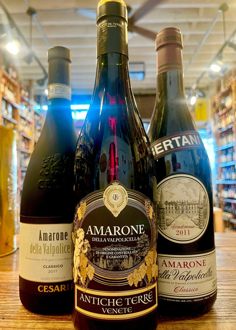 Amarone and Valpolicella - Arthur Cantina Wine & Liquor